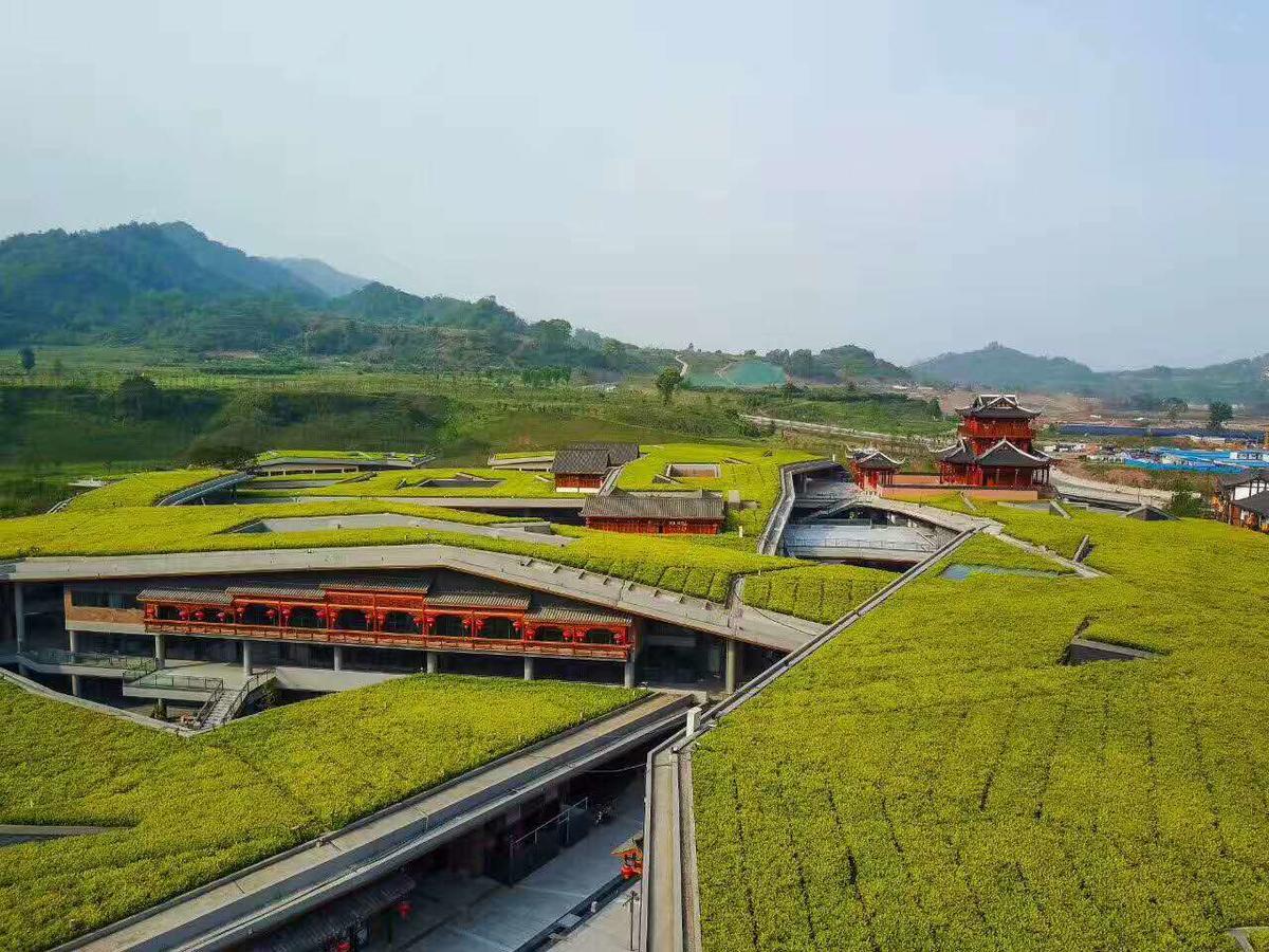 Emeis Van Stars Mountain Lodge Gunung Emei Bagian luar foto